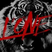 Песня 24 7 Тигр