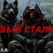 Первый Сталкер 3