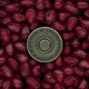 Приходи Сплин