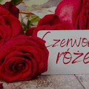 Arek Kopaczewski Lajwe