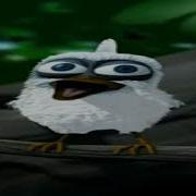 Птица Орёт Ассалам Алейкум