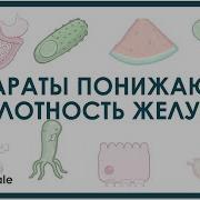 Антисекреторные Средства