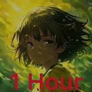 Passo Bem Solto 1 Hour