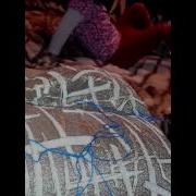 Катапульта 2015