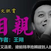 有声书 王朔短篇