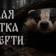 Рать Белая Метка Смерти