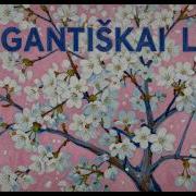 Elegantiskai Lyja