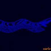 Efidiea Klasky Csupo