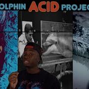 Amonita Dolphins English