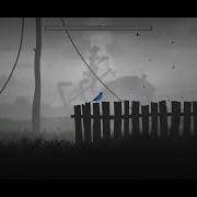 Grayland Музыка