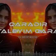 Qara Talehimiz Şamil Hesenzade