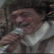 Соки Майи Дар Задаи