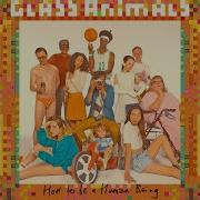 Glass Animals Take A Slice