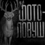 Worldbegemotkot Страшные Истории