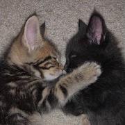 Need No Drugs Nahdoitagain