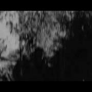 Graveshadow Lycan Lust