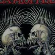 Exploited Punks Not Dead