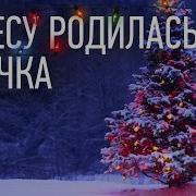 Песни Про Ёлку