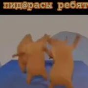 Медведи Танцуют