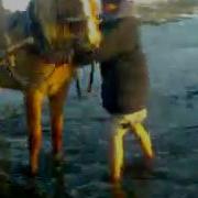 Агай Куйзынмы