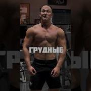 Низы Качают