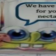 We Have Come For Your Nectar