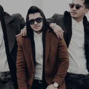 Osha Guli
