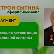 Сытин Эндокринная Система