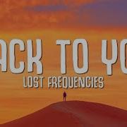 Lost Frequencies Back To You