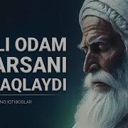 Ибратли Сузлар