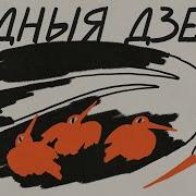 Ніл Гілевіч