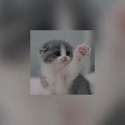 Двигаться Спид Ап