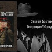 Сергей Бортников Операция Юродивый