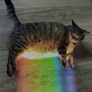 Room Waves Forgot This