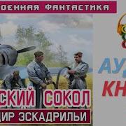Сталинский Сокол Аудиокнига
