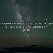 Мухаммад Тарик Кахф
