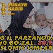 Domlalar Ismlari