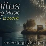 Tinnitus Music