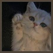 Пока Пора Ремикс