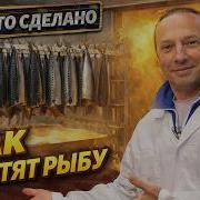 Василий Емельяненко
