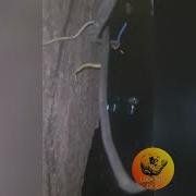 Ай Фил Ай Лоф Тюнай