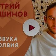 Лапшин Звуки Безмолвия