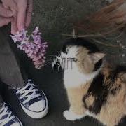 Мы Встретимся Дома Speed Up