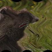 Wildlife In Swist Major