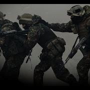 Соколы Remix Mk5 45
