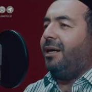 Тасбих Тарових