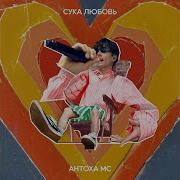 Сука Любовь Из Тик Тока