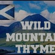 Wild Mountain Time The Fall