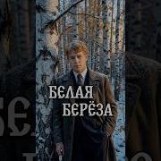 Fluxlisimo Белая Береза