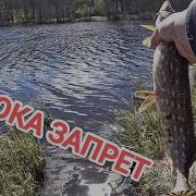 Ru Рыбалка
